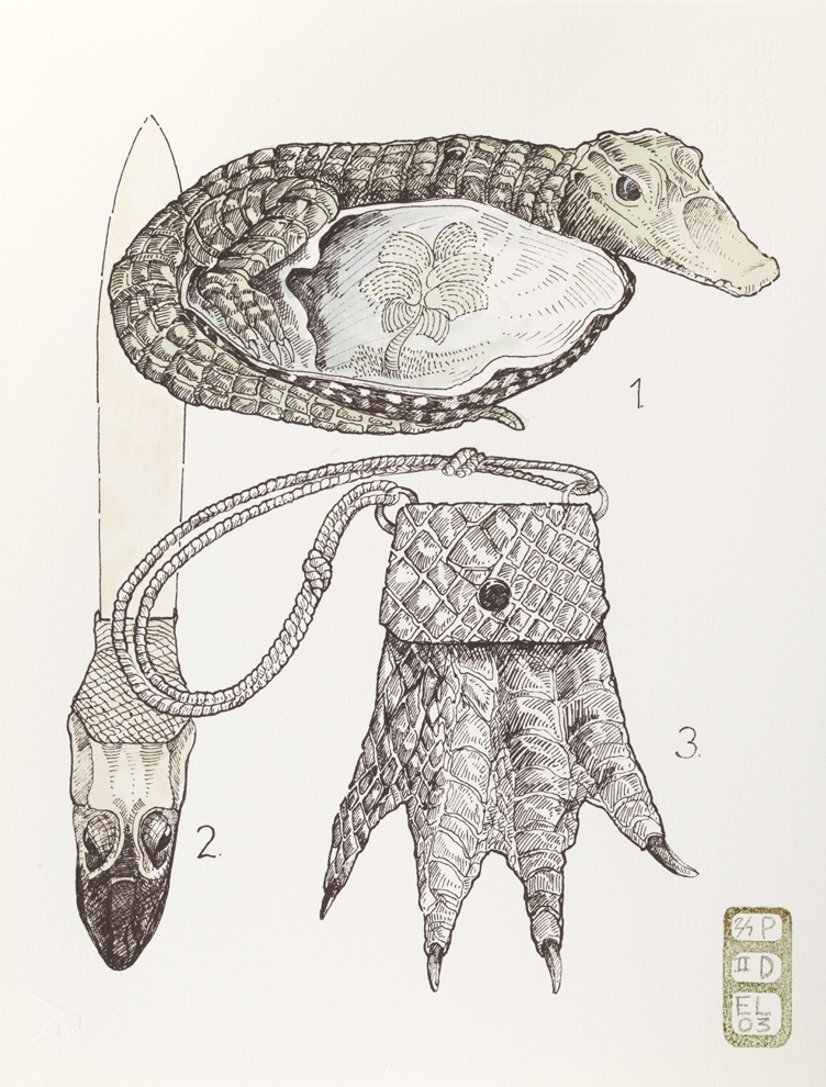 Plate D, Volume I, Book II, Folly Animale, from Index: The Objects of My Obsession