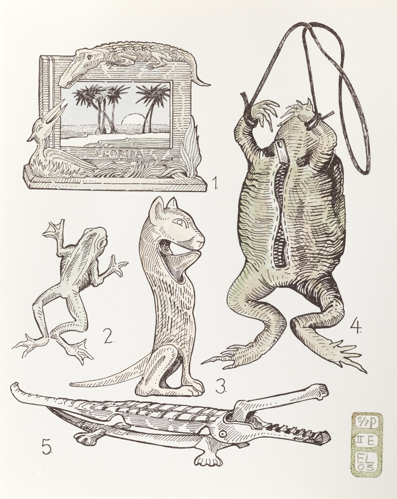 Plate E, Volume I, Book II, Folly Animale, from Index: The Objects of My Obsession