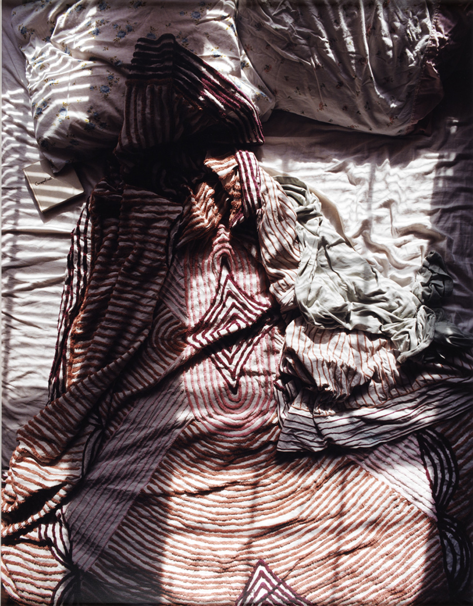 Untitled #1 (Lesbian Beds)