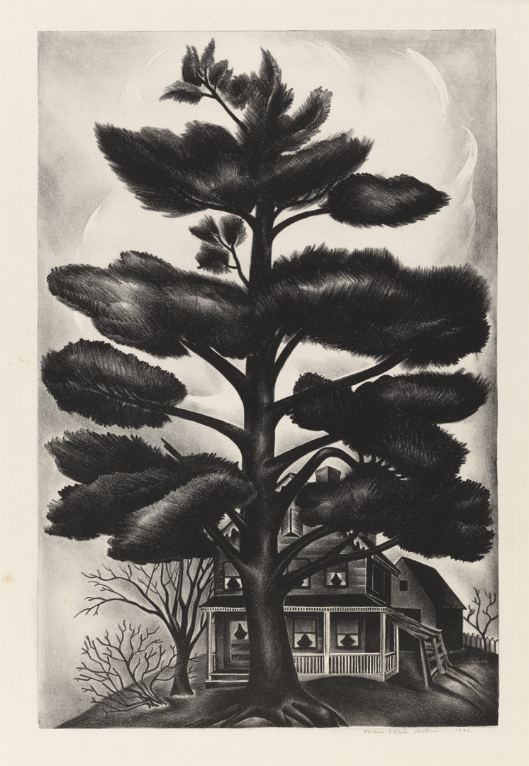 Untitled (The Pine Tree)