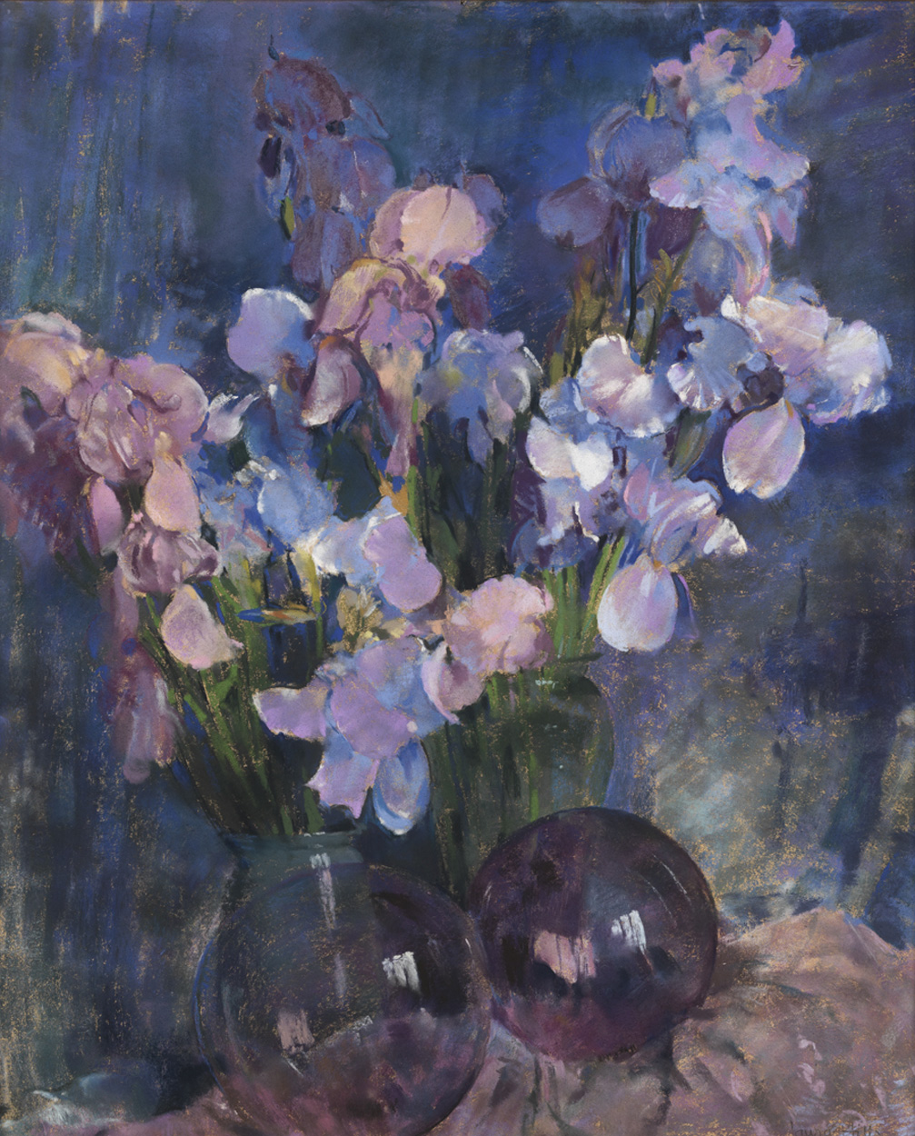 Purple Irises