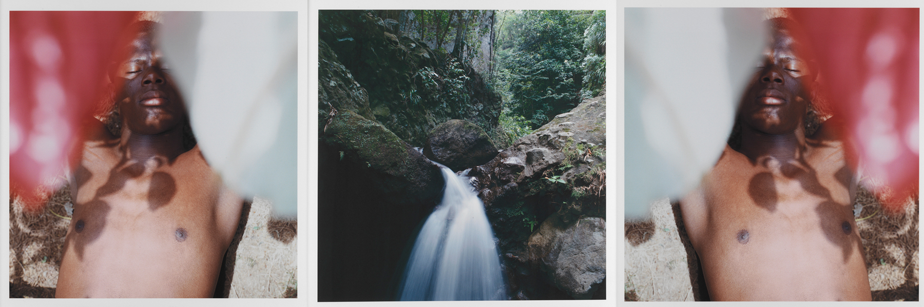 Paradise (Omeros) No. 2