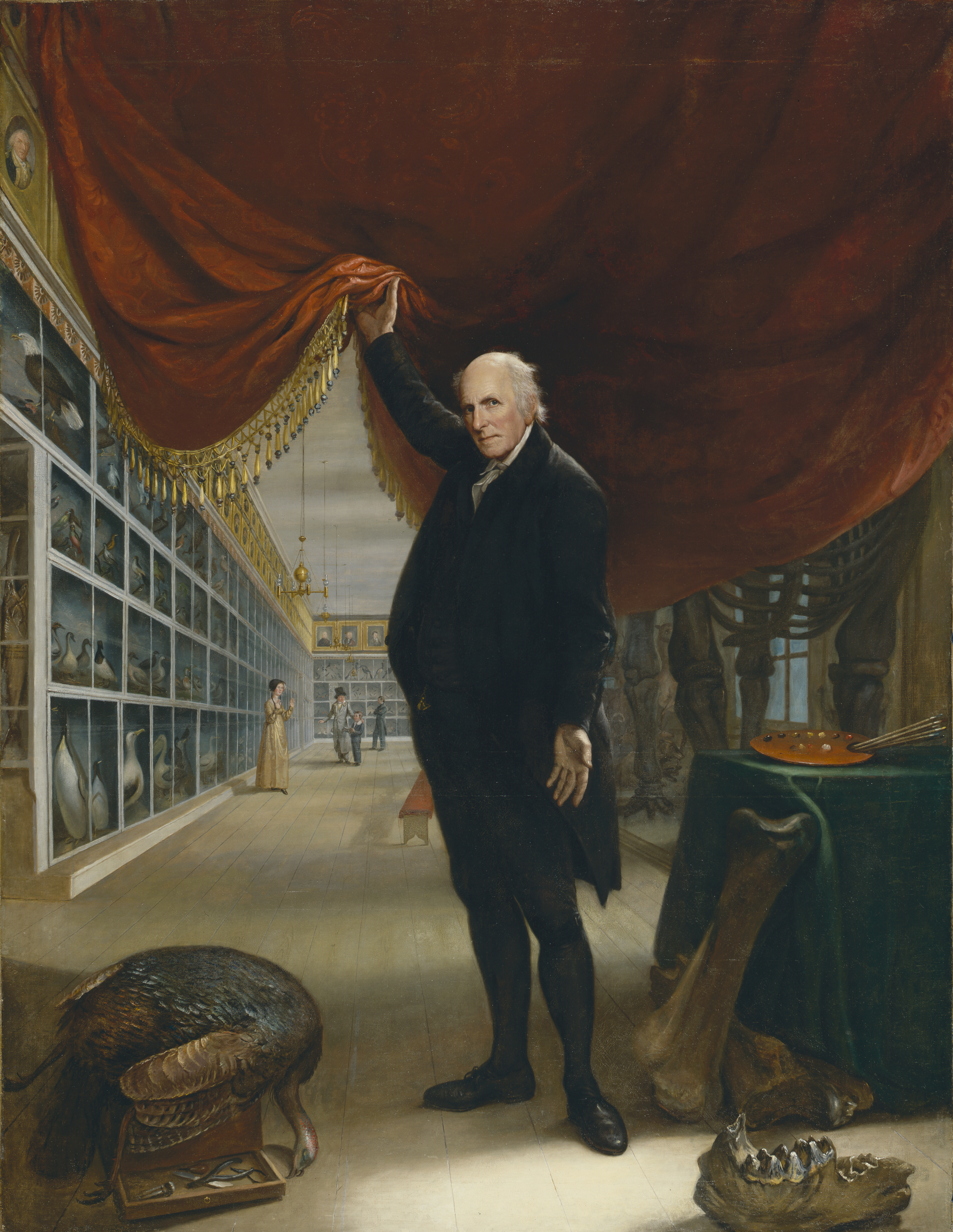 A man in a dark suit lifts a heavy red velvet curtain to reveal a long museum gallery filled with rows of framed bird specimens and other natural history displays.