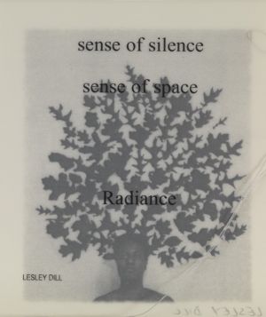 Sense of Silence from "Interviews with the Contemplative Mind" by Lesley Dill