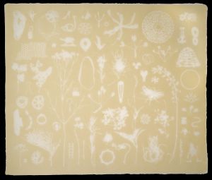 Nami Yamamoto, Miniature Garden: Trance (2007). Pigmented overbeaten bleached abaca with watermark. 15 x 18 inches, edition of 20. Published by the Brodsky Center at PAFA, Philadelphia.