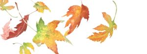 Autumn Leaves in Watercolor