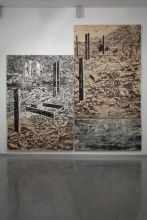 Orit Hofshi, If the Tread is an Echo (detail), 2009, pencil, markers, and stone stick tusche rubbing on carved wood panels and handmade paper, 136 x 287 x 36 in.