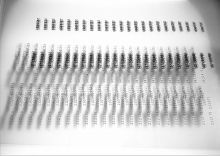 Constantina Zavitsanos, it was what i wanted now