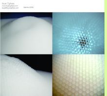 Itsuki Ogihara, Beehive