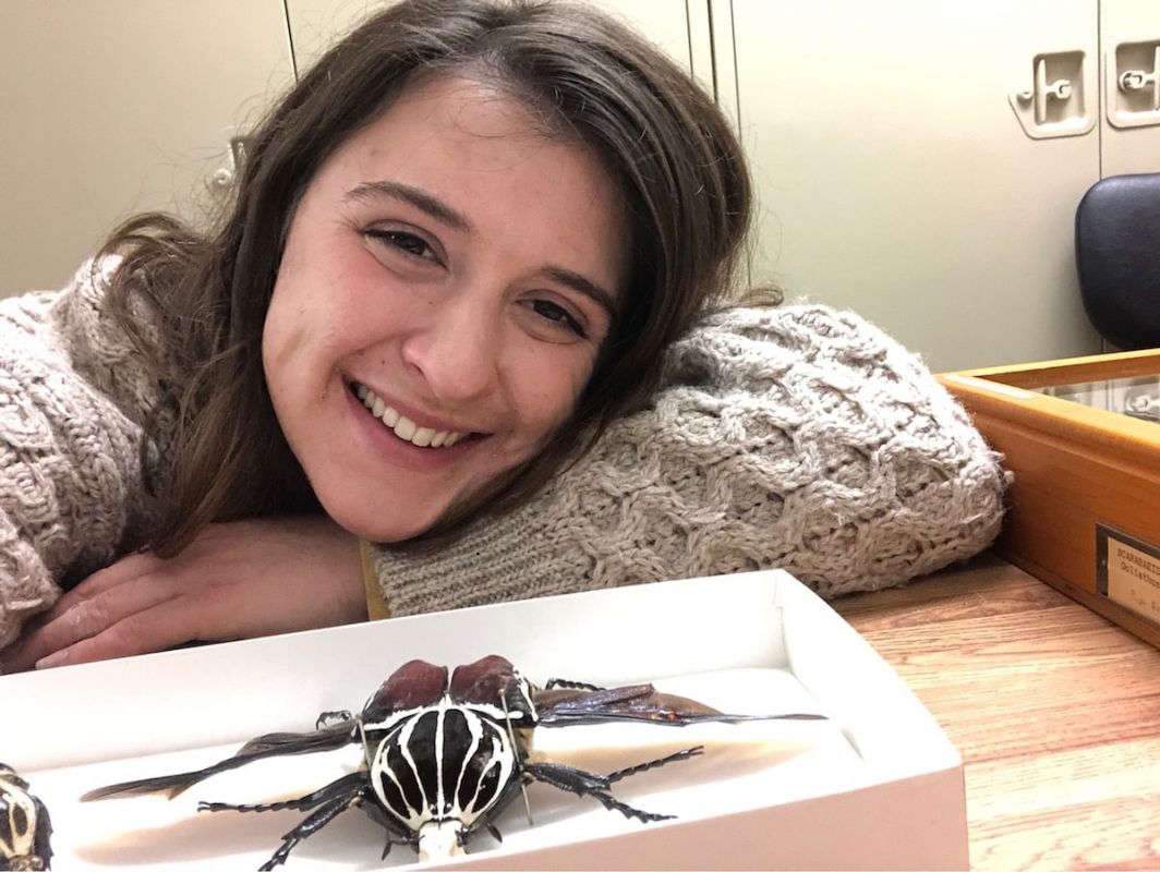 PAFA student Gillian Cavoto '19 with the African scarab beetle, "Goliathus regius".  Gillian has been busy drawing beetles & other insects from the Entomology Collection of the Academy of Natural Sciences of Drexel University. Photo: Gillian Cavoto