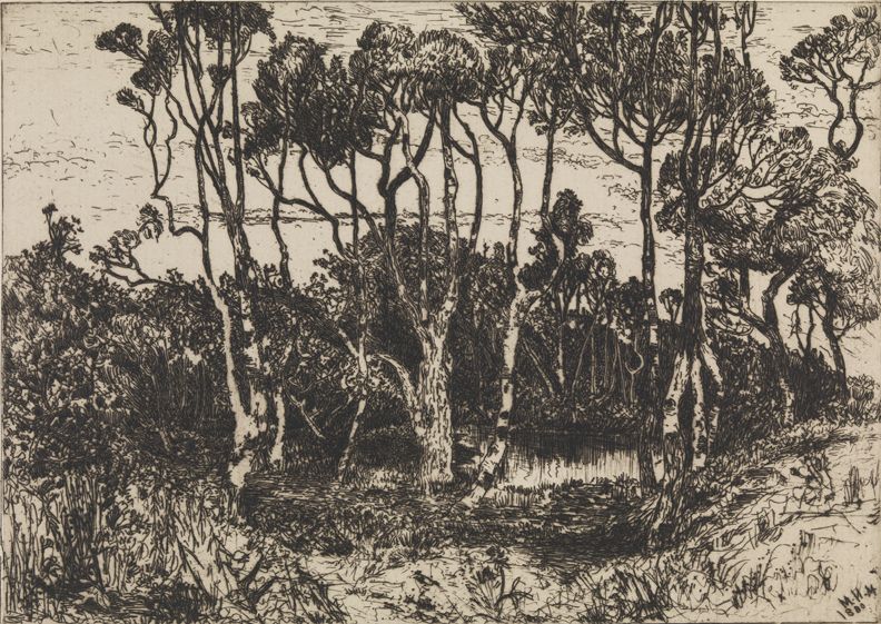 Mary Nimmo Moran, "Solitude" (1880). Etching on off-white wove paper. John S. Phillips Collection.