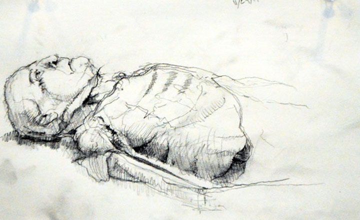 Cadaver drawing by Angus Ryan.