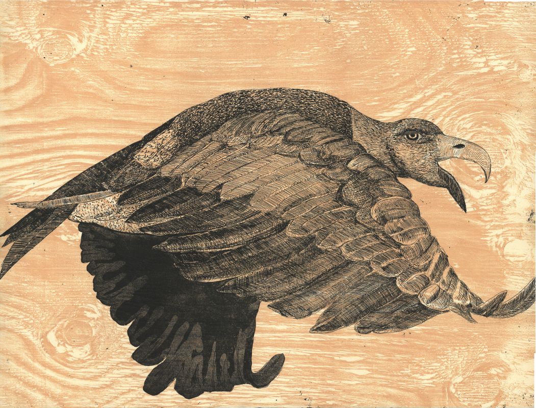 Corrupted Eagle, etching and relief on paper, 17.75 x 23.25 in, 2009