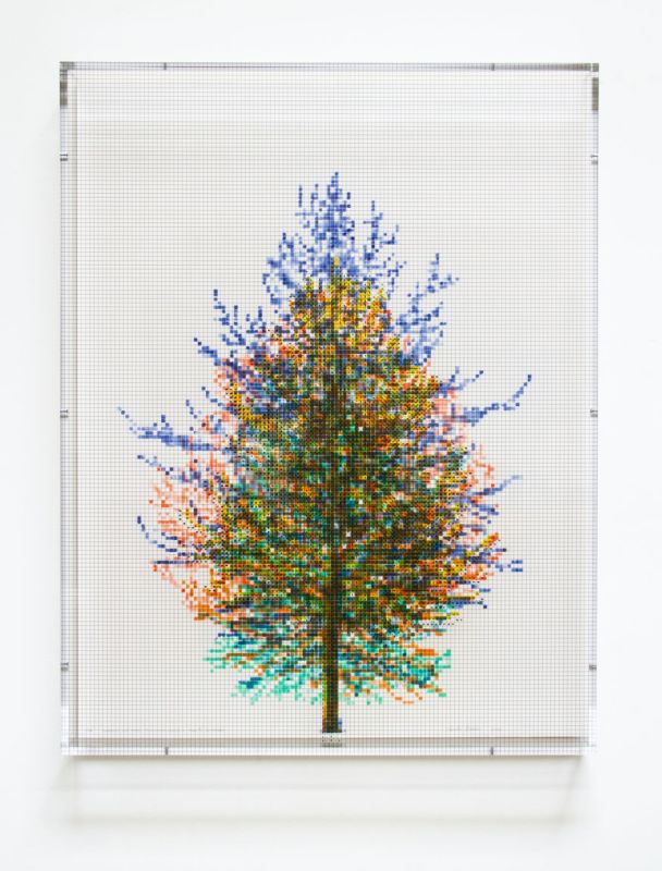 Numbers and Trees, Tiergarten Series 3: Tree #6, September by Charles Gaines