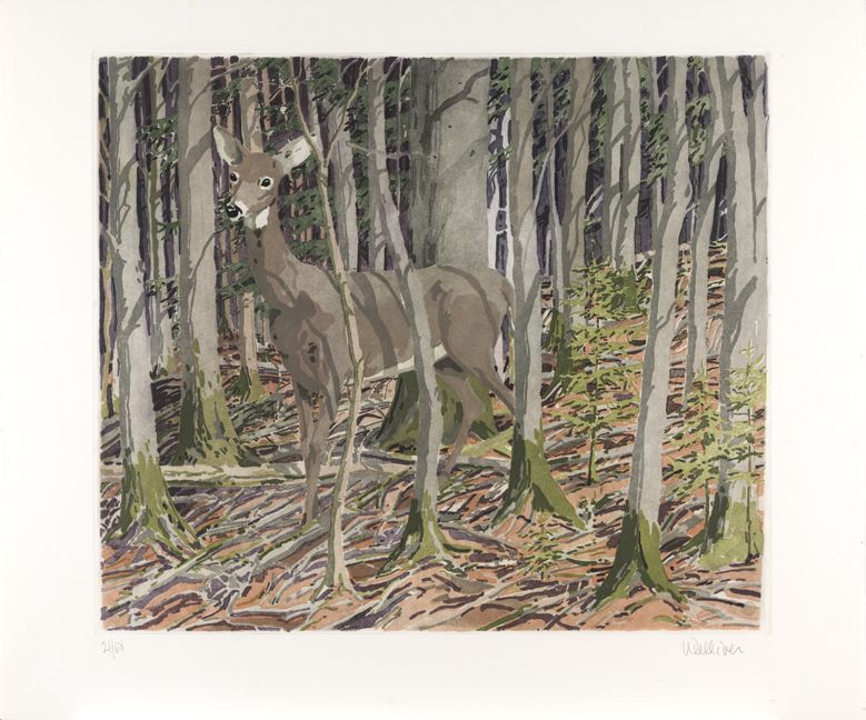 Color etching of a deer in the woods.