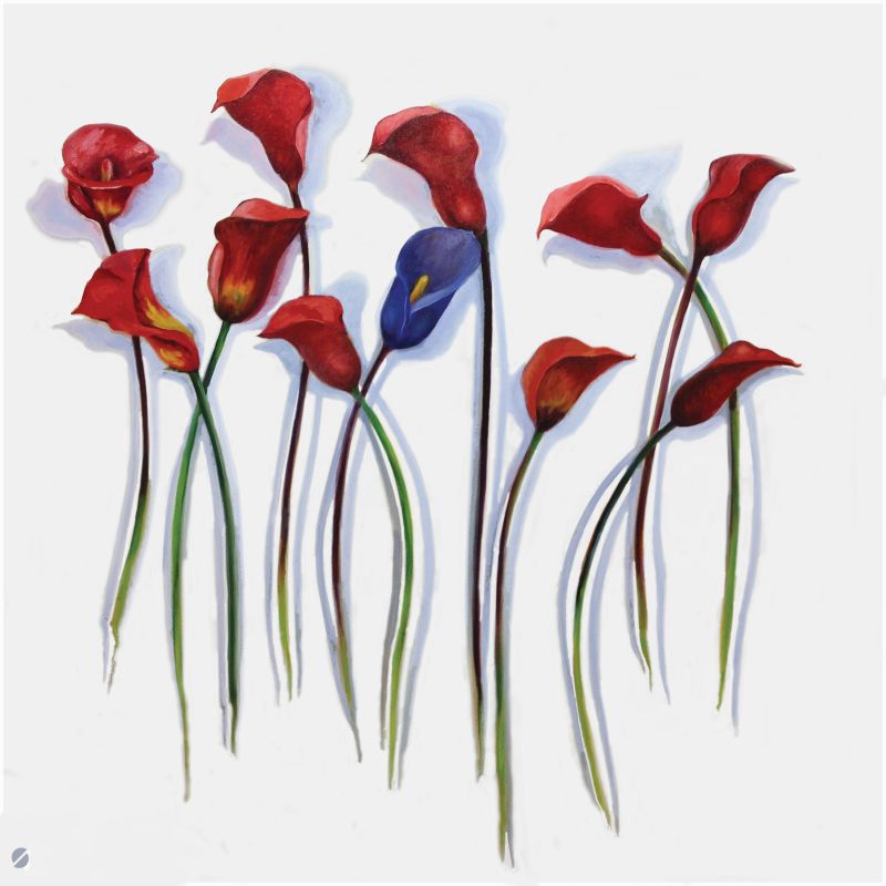 Oil on canvas painting of 11 callas, 10 red and one purple.