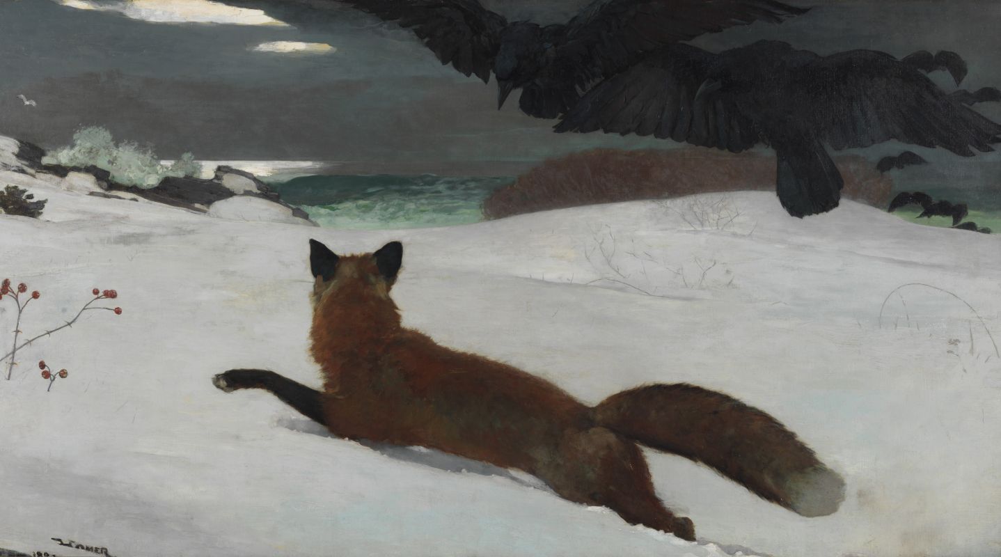 A red fox flees through deep snow as a flock of crows descends menacingly, capturing the harsh struggle for survival in winter on the Maine coast.