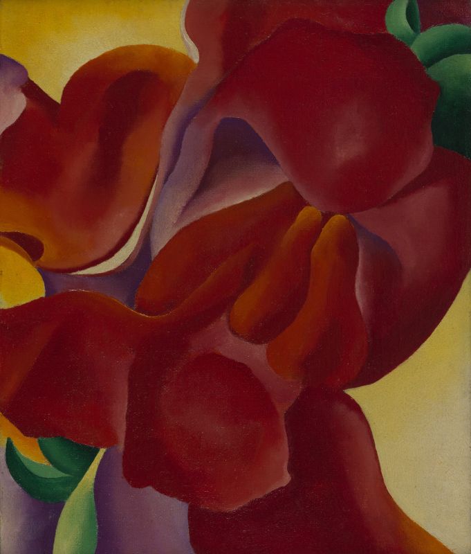 Georgia O’Keeffe’s Red Canna magnifies the curves and colors of a flower into a bold, abstract composition that evokes sensuality and monumental presence.