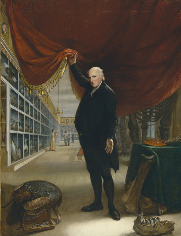 An older man stands beneath an opulent red curtain, partially revealing a gallery of animal specimens. He wears formal attire, and nearby are a turkey, bones, and art supplies, evoking curiosity and grandeur.