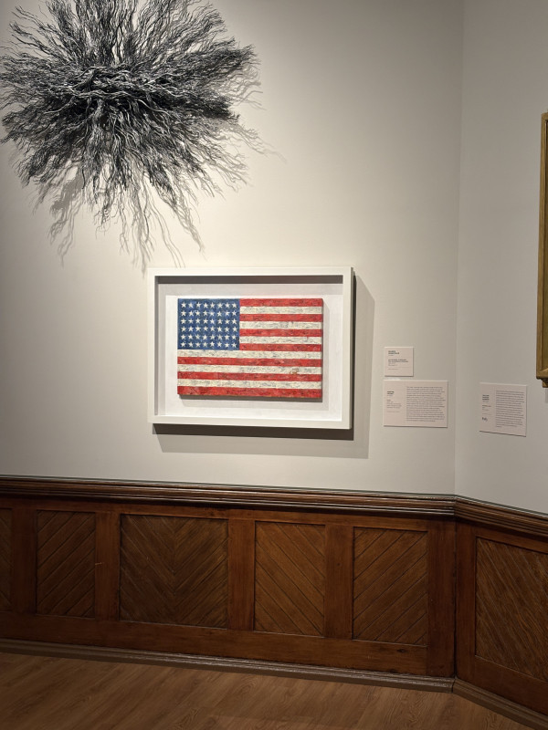 An encaustic painting of the United States flag by Jasper Johns is framed and displayed on a museum wall above wooden wainscoting, positioned beneath a large, fibrous black sculpture.