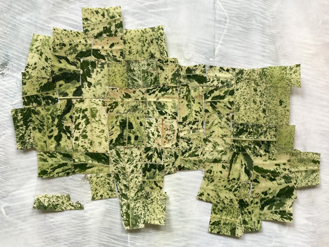 A collage-style artwork by Rick Lowe titled "Black Wall Street Journey #5," featuring rectilinearly cut pieces of variegated green and white plant leaves arranged to form a fragmented, map-like geometric pattern against a textured white background.