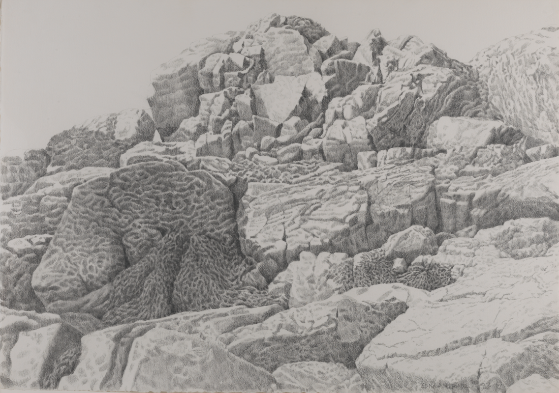 A highly detailed graphite pencil drawing captures a rugged, deeply textured expanse of eroded coastal rock formations under a pale sky.