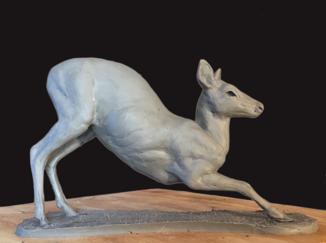 Downward Doe_150.1500.j