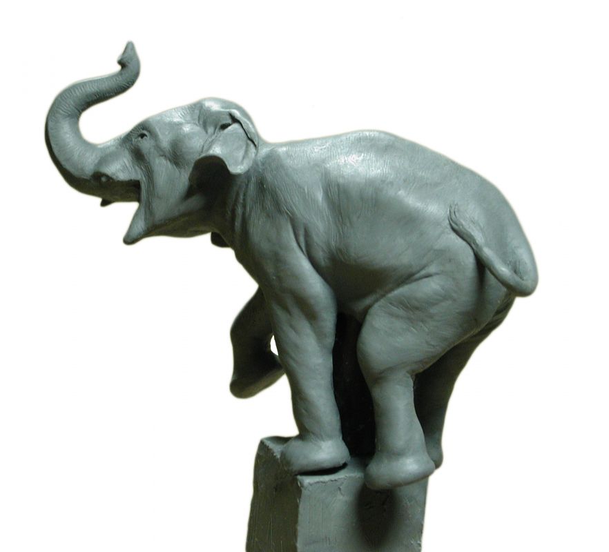 Freedom_2017 crp 300dpi 10inchclear