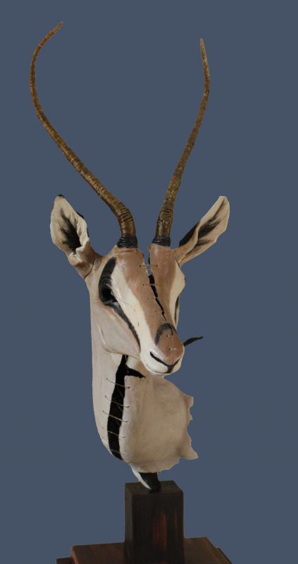 Gazelle_Ceramic rt 3qrtr_Bl crp