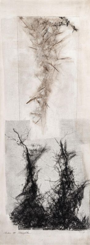 Stoughton_Attraction