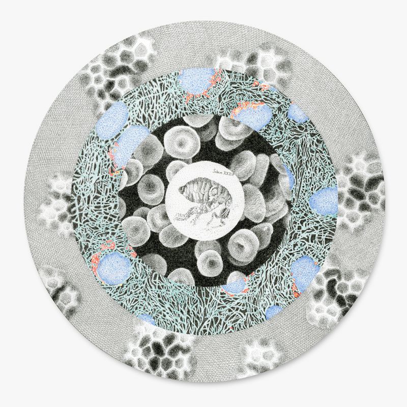 Rosenthal's "Microscope"