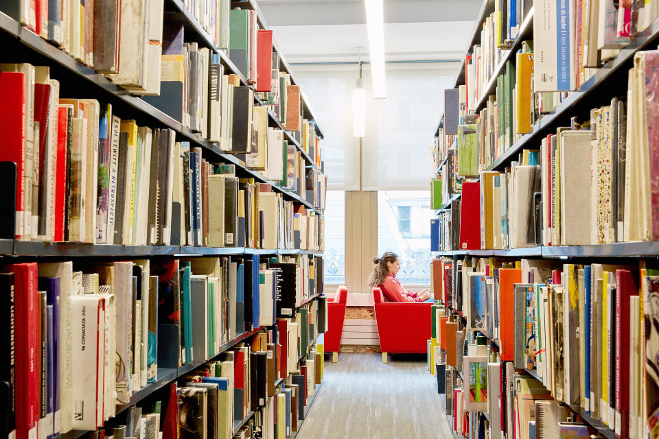 Arcadia Fine Arts Library