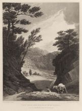 View of the falls near Schuylkill etching