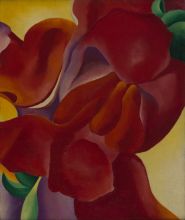 painting of Red Canna by Georgia O'Keefe