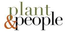 plant & people logo