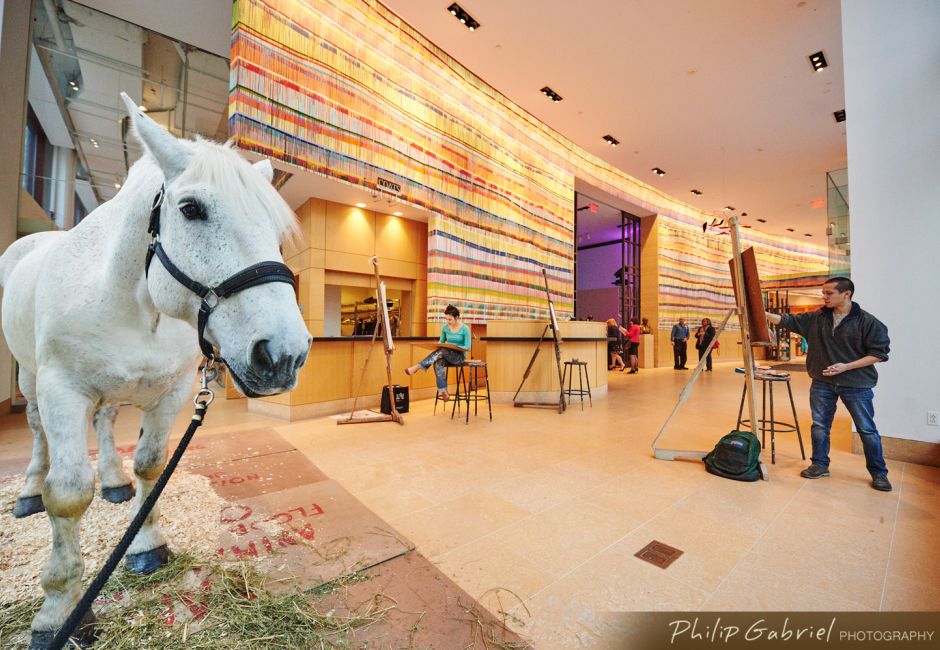 Animal drawing, Samuel M.V. Hamilton Building