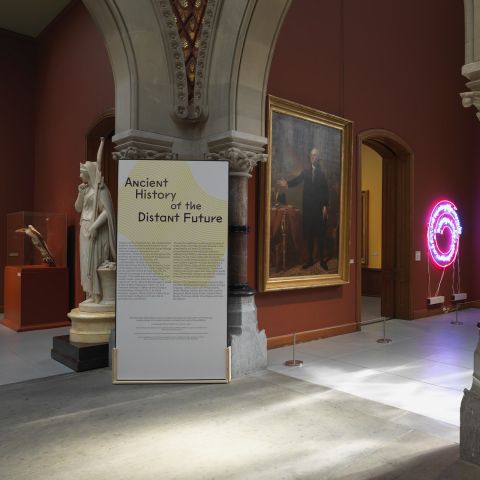 AHDF installation view