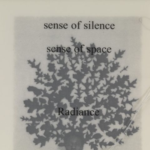 Sense of Silence from "Interviews with the Contemplative Mind" by Lesley Dill