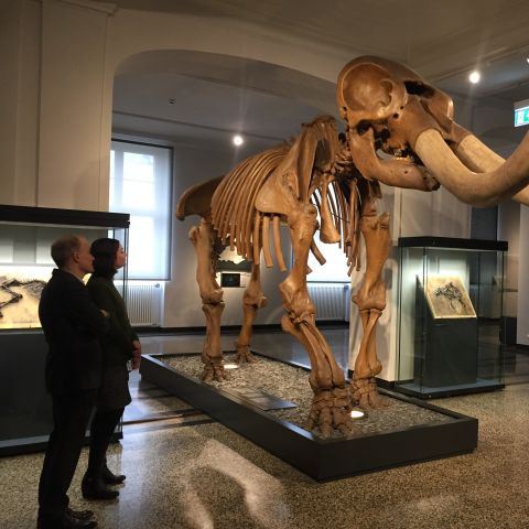 Dr. Martin Fass and Dr. Anna O Marley with the Mastodon