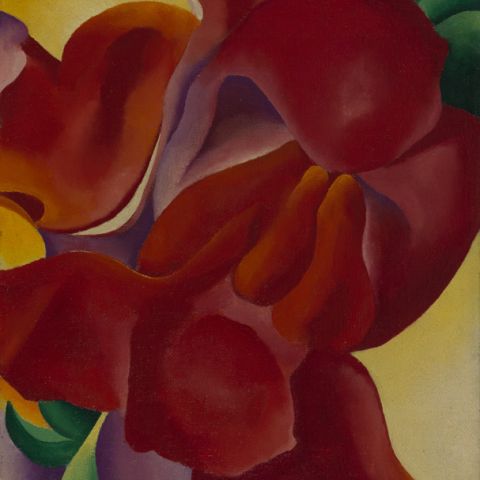 Image of painting by Georgia O'Keeffe (1887-1986), Red Canna, 1923, Oil on canvas