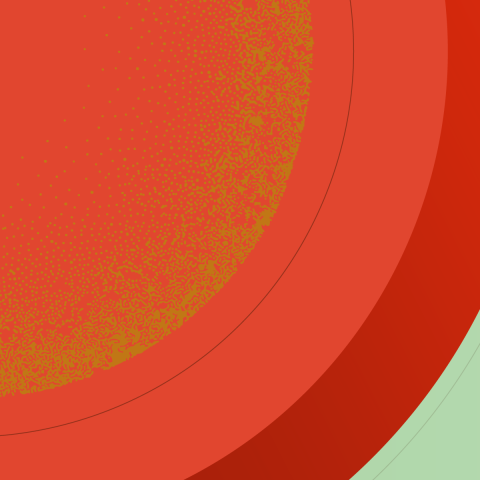 graphic with arcs of red-orange, light orange, light pink, light green