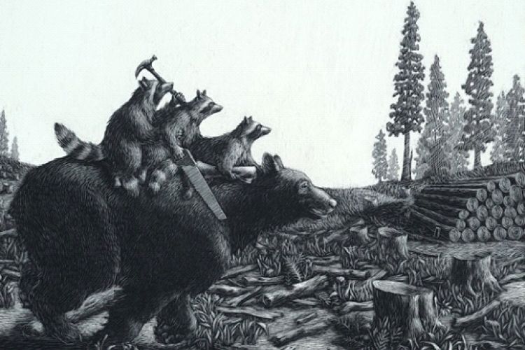 Raccoons with a Plan by Kate Samworth