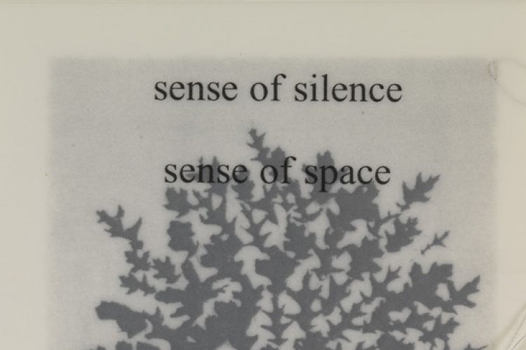 Sense of Silence from "Interviews with the Contemplative Mind" by Lesley Dill