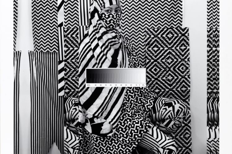 Cargo Cults: Cover-Up Stephanie Syjuco, 2016