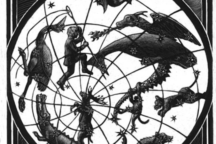 Illustration for "Why Fish Don't Exist" by Kate Samworth