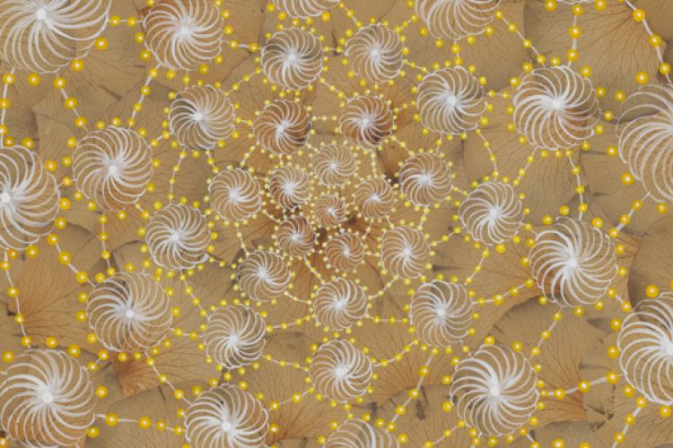 Yellow Roses #2 Barbara Takenaga, 2005