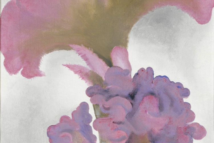 Coxcomb by Georgia O'Keeffe, 1931/