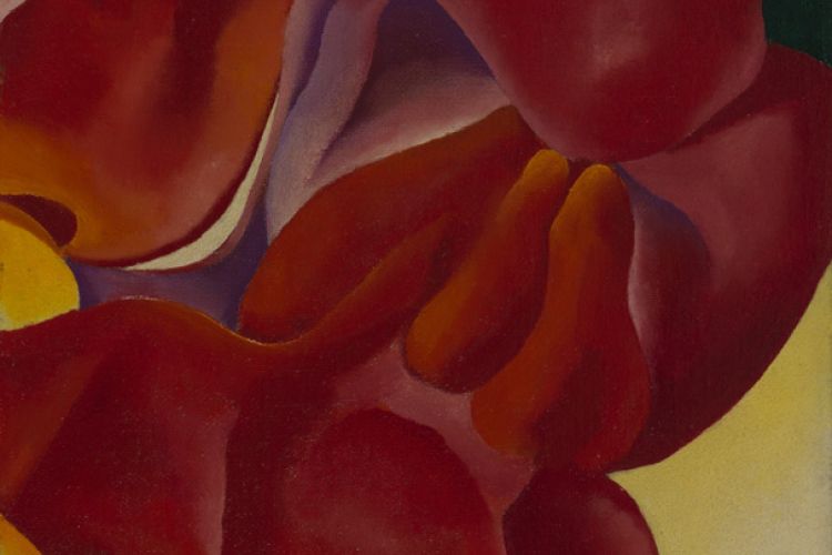 Red Canna by Georgia O'Keeffe