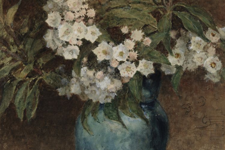 Watercolor painting of laurel blossoms in a blue vase. 