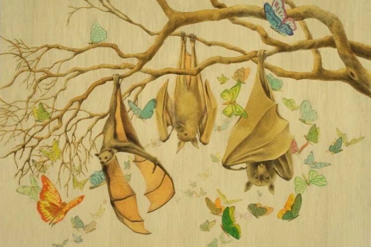 Illustration of bats on a tree branch in tan and brown tones